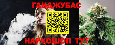 крисы Заводоуковск