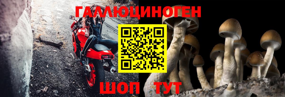 Галлюциногенные грибы Cubensis  Вход с VPN  Псилоцибиновые грибы прущие грибы  Ликино-Дулёво 